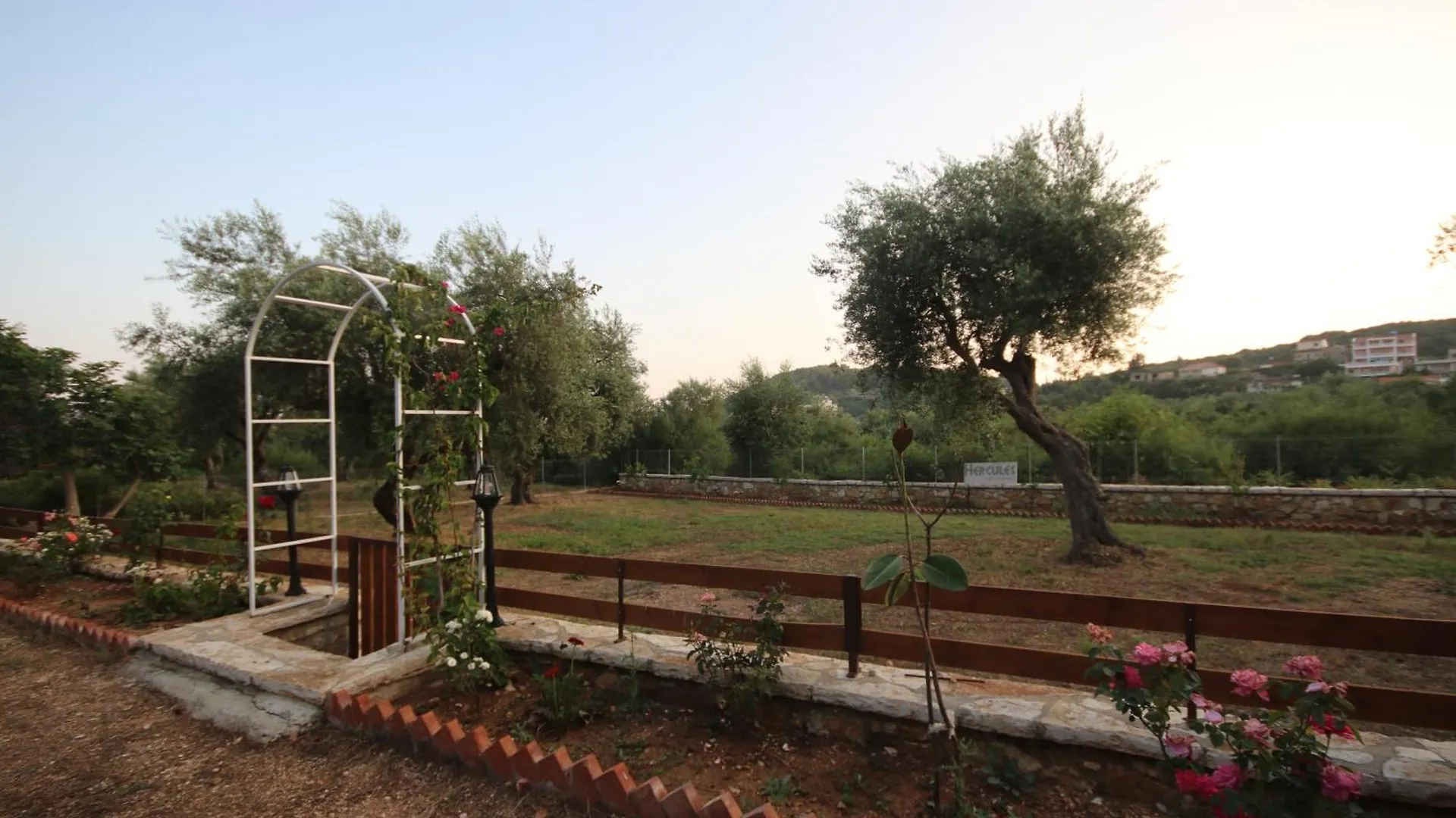 Alyvia Rooms Himare 0*,  Albania