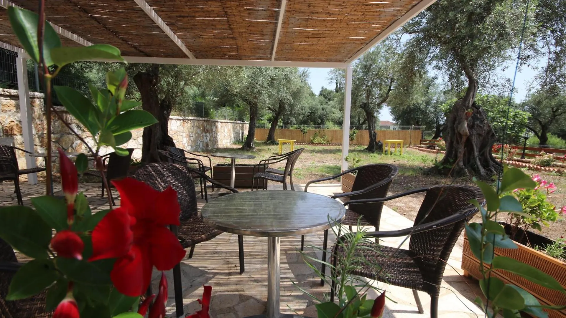 Alyvia Rooms Himare 0*,  Albania